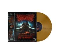 PF Radio 2 GOLD (Vinyl LP)