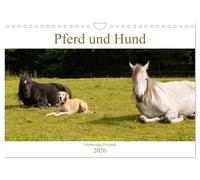 Pferd und Hund - Vierbeinige Freunde (Wandkalender 2026 DIN A4 quer), CALVENDO Monatskalender: Pferd, Pony und Hund in Harmonie