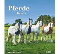 Pferde 2025 - Postkartenkalender 16x17 cm - Horses - zum Aufstellen oder Aufhängen - Monatskalendarium - Gadget - Mitbringsel - Alpha Edition