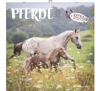 Pferde 2026 - Broschürenkalender 30x30 cm (30x60 geöffnet) - Kalender mit Platz für Notizen - Horses - Bildkalender - Wandplaner - Pferdekalender: Horses