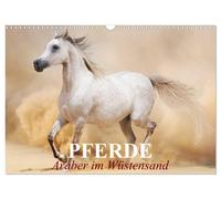 Pferde • Araber im Wüstensand (Wandkalender 2027 DIN A3 quer), CALVENDO Monatska