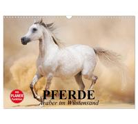 Pferde. Araber im Wüstensand (Wandkalender 2027 DIN A3 quer), CALVENDO Monatskal