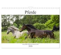 Pferde, das größte Glück auf dieser Erde (Wandkalender 2026 DIN A4 quer), CALVENDO Monatskalender: Nicht ohne Grund heißt es, Pferde machen glücklich