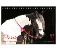 Pferde - eine Herzenssache (Tischkalender 2027 DIN A5 quer), CALVENDO Monatskalender: Die Liebe zum Pferd in Herzform gezeigt.