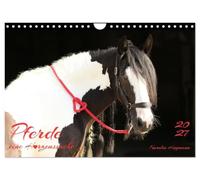Pferde - eine Herzenssache (Wandkalender 2027 DIN A4 quer), CALVENDO Monatskalender: Die Liebe zum Pferd in Herzform gezeigt.