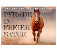Pferde in freier Natur (Tischkalender 2026 DIN A5 quer), CALVENDO Monatskalender: Pferdekalender mit edlen Pferden in freier Natur - Friesen, Araber, ... Bildern für Pferdeliebhaber und Reiterinnen