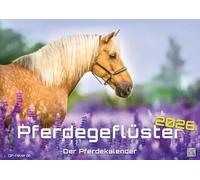 Pferdegeflüster - Der Pferdekalender - 2026 - Kalender DIN A2: Der Wandkalender mit den schönsten Pferde-Motiven für das Jahr 2026 im extragroßen Format DIN A2 (ca. 60 x 42 cm)!