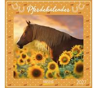 Pferdekalender 2027: Broschürenkalender mit Ferienterminen. Pferde und Ponys. 30 x 30 cm