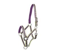 Pfiff Livorno - Cavezza in plastica