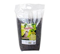 Pfiffikus Girasoli a strisce 10kg