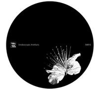 Pfirter/Kangding Ray - Caos Y Orden Superior/Wars