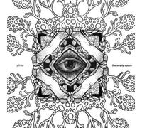 Pfirter The Empty Space (Vinyl LP) 12" Album