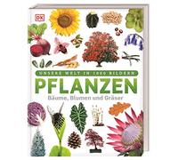 Pflanzen: Bäume, Blumen und Gräser