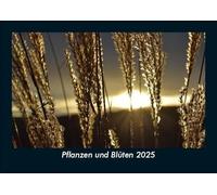 Pflanzen und Blüten 2025 Fotokalender DIN A5: Monatskalender mit Bild-Motiven aus Fauna und Flora, Natur, Blumen und Pflanzen
