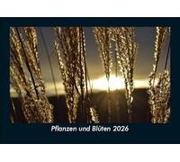 Pflanzen und Blüten 2026 Fotokalender DIN A5: Monatskalender mit Bild-Motiven aus Fauna und Flora, Natur, Blumen und Pflanzen