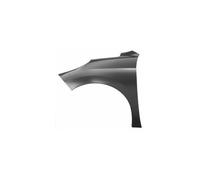 PG3203014 parafango ant sinistro senza foro lucciola per Peugeot 207 04/06-01/12