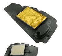 PGFHFXCC Accessori Dell'elemento del Filtro dell'Aria della Presa d'Aria del Motociclo per Forza MF08 NSS250 Ex 2005 2006 2007 17210-KSV-J02
