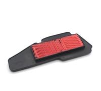 PGFHFXCC Elemento Filtrante del Filtro dell'Aria per Motocicletta per SMAX155 Force155 SMAX 155 Force 155 Majesty S HW125 Xenter 125 150