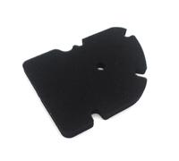 PGFHFXCC Elemento Filtro Aria per Parti di Motociclette per Piaggio MP3 300 125 250 GT X8 X9 X Evo XEvo 125 200 250