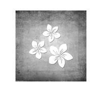 PGVXEM for Favore Sii paziente, Sono Solo Una Ragazza, Fiocco for Civetta, for Donne, paraurti for Auto, Decorazione for Porte e finestre(Silver,25cmwidex11cmhigh)