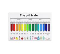 Ph Learning Poster | Science scale base chart for chemistry decor(Unframed,16x24inch(40x60cm))