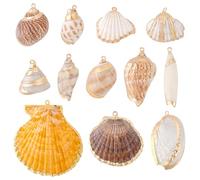 PH PandaHall 12 Stili Ciondoli a Forma di Conchiglia Naturale Conchiglie a Spirale e Capesante, 22~56.5mm Pendenti in Conchiglia Elettroplaccati per Braccialetti di Gioielli Estivi