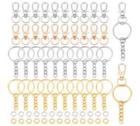 PH PandaHall 300pz Kit Portachiavi Fai Da Te, 100pz Gancio Girevole a Scatto 100pz Portachiavi con Catena 100pz Anelli di Congiunzione, Cordino per Portachiavi Creazione di Gioielli Artigianali