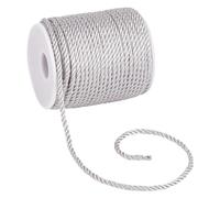 PH PandaHall 30m Cordoni Intrecciati Cordone Argentato Ritorto Trim 3mm Cordoncini D'Onore per Laurea Papillon per Finestra Corda Artigianale per Abbigliamento Paralume Corda per Handfasting