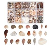 PH PandaHall 466pz Conchiglie Decorative Piccole Conchiglie di Mare Naturali, 15 Stile Mini Conchiglie per Resina Perline Non Forate per Resina Artigianato Fai Da Te Riempitivi di Vasi