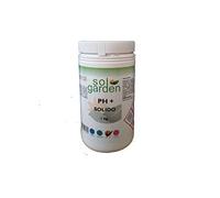 PH PLUS CORRETTORE REGOLATORE INCREMENTATORE DEL PH X ACQUA PISCINA PH+ (PH PIU) GRANULARE 1 KG
