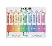 PH Scale Poster Chemistry Base Learning