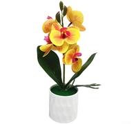 Phalaenopsis Bonsai artificiale per uso decorativo in camera da letto, studi o angoli di lettura con riferimento botanico calmante (giallo)
