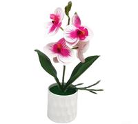 Phalaenopsis Bonsai artificiale per uso decorativo in camera da letto, studi o angoli di lettura con riferimento botanico calmante (viola-bianco)