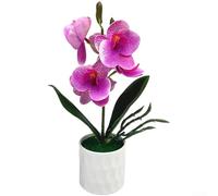 Phalaenopsis Bonsai artificiale per uso decorativo in camera da letto, studi o angoli di lettura con riferimento botanico calmante (maculato viola)