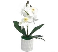 Phalaenopsis Bonsai artificiale per uso decorativo in camera da letto, studi o angoli di lettura con riferimento botanico calmante (bianco)