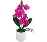 Phalaenopsis Bonsai artificiale per uso decorativo in camera da letto, studi o angoli di lettura con riferimento botanico calmante (viola)