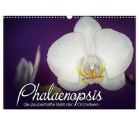 Phalaenopsis - die zauberhafte Welt der Orchideen (Wandkalender 2027 DIN A3 quer