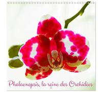 Phalaenopsis, la reine des Orchidées (Calendrier mural carré 2026 30 x 60 cm (ouvert)) Calendrier double avec une page pour vos prises de notes