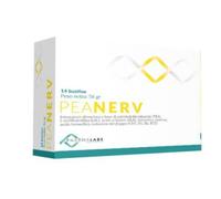 PEANERV BUSTINE 14BUST