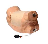 Pharmabotics W19356 - Simulatore di drenaggio di torace