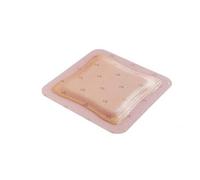 Pharmaidea 19726 Allevyn Adhesiv Ag, 12.5 x 12.5 cm, 10 pezzi