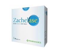 ZACHELASE 20BUST