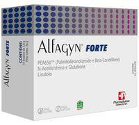 pharmasuisse laboratories srl Alfagyn forte 10 bustine