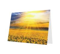PHAYAH 10 fogli di biglietti di auguri con motivo girasole dorato, busta rossa, adatti come biglietti di invito per matrimoni e feste