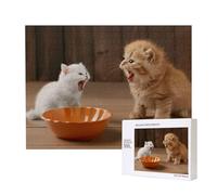 Phayah 500 pezzi adulti puzzle bambini puzzle in legno giocattolo kit decorazione casa 52 x 38 cm due gattini modello