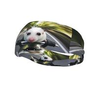 Phayah Animal Riding A Car Pattern Donne Uomini Atletici Fasce per Capelli Per Yoga Corsa Umidità Elastico Sudore Traspirante Fascia per la Testa