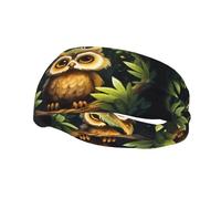 Phayah Big Eyed Owl Pattern Donne Uomini Atletico Fasce per Capelli Per Yoga Corsa Umidità Elastico Sudore Traspirante Fascia per la Testa