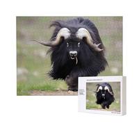 Phayah Big Yak Pattern Puzzle Unico Jigsaw Wall Art Picture per la decorazione domestica 500 pz