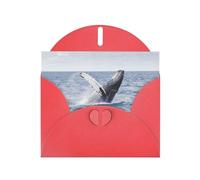 PHAYAH Biglietti di auguri vuoti con motivo balena sopra l'acqua del mare, con buste, 10,2 x 15,2 cm, biglietti di ringraziamento per Natale, vacanze, compleanno, laurea, anniversario, rosso