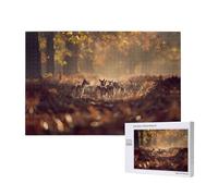 Phayah Cervo nella Foresta Puzzle per Adulti 1000 Pezzi Bambini Intelligenza Sviluppo Giocattoli 29.5 X 19.7